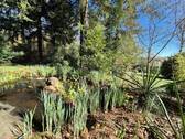 kleiner Teich - 