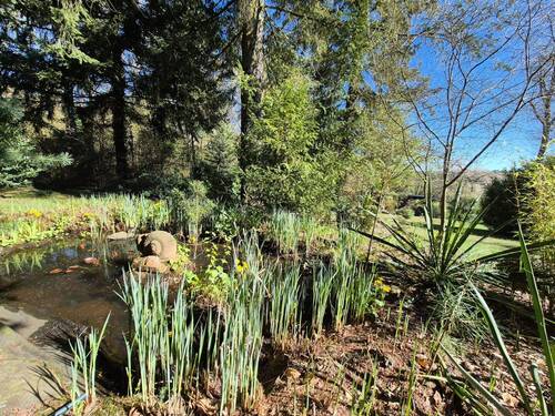 kleiner Teich - 