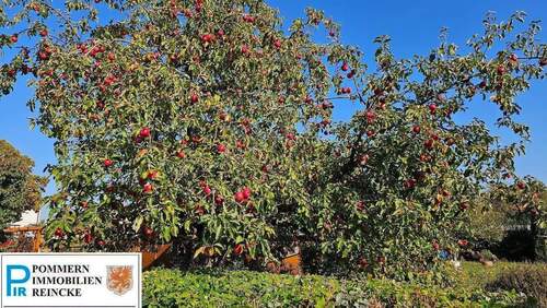 Der gehört dazu!.jpg - 