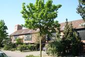 Ein tolles zu Hause! - Citynahes Reihenhaus mit pflegeleichtem Garten!