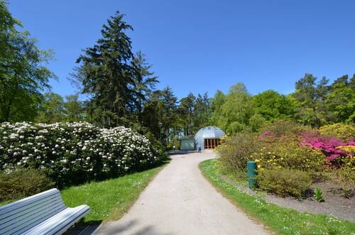 Rhododendrenpark in Graal-Müritz - 