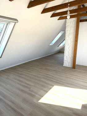 Zimmer DG - 