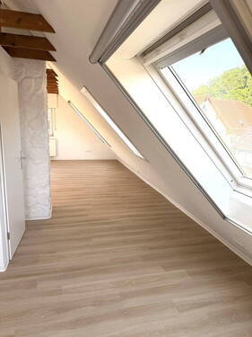 Zimmer DG - 