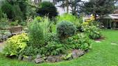 Gartenansicht - 4 Zimmer Einfamilienhaus in Plauen