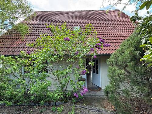Das Hanggrundstück (die Straßenansicht) - 6 Zimmer Einfamilienhaus zum Kaufen in Erkerode