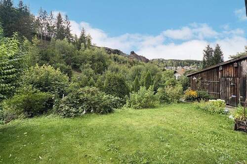 Garten mit Holzschuppen - 