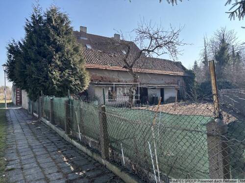 Objektansicht - Mehrfamilienhaus, Wohnhaus in Hakeborn zum Kaufen