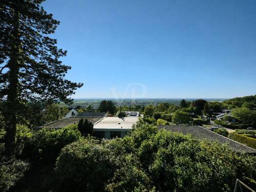 Ausblick - 