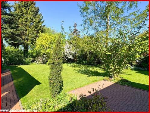 Gartenimpressionen - 