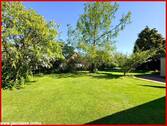Gartenimpressionen - 