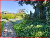 Gartenimpressionen - 