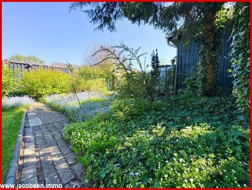 Gartenimpressionen - 