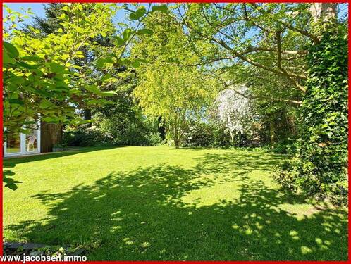 Gartenimpressionen - 