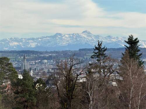 Blick vom Dachgeschoss auf Konstanz und Bergwelt - 