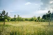 Umgebung - 