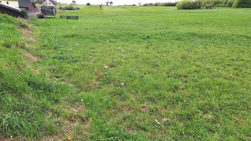 Ansicht - Grundstück zum Kaufen in Oberrod