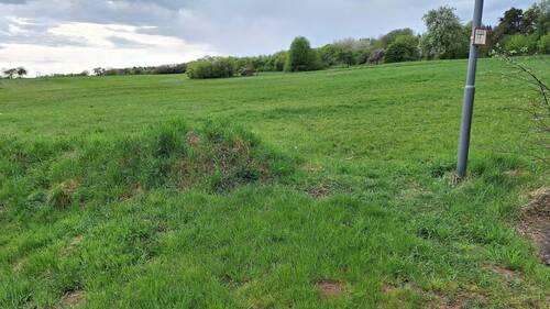 Straßenansicht - Grundstück in Oberrod