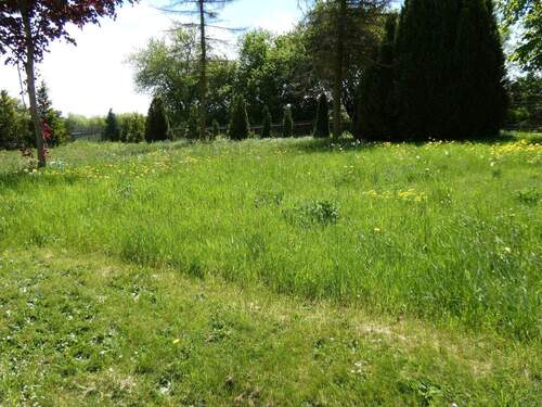 Wiese im hinteren Grundstück - 