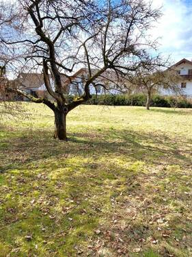 Grundstück Starnberg - 