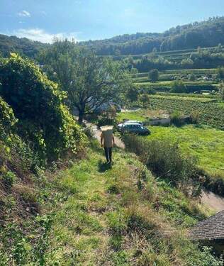 Bildschirmfoto 2025-09-03 um 09.01.35.jpg - 