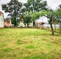 Großzügiger Bauplatz in Stadt Bernsdorf