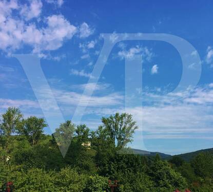 Ausblick - 