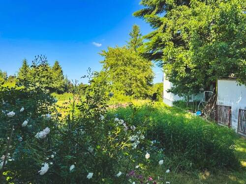 Blick von der Grundstücksmitte nach Osten - 