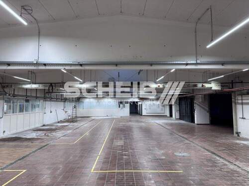 Raumhöhen bis 4,50 m - 