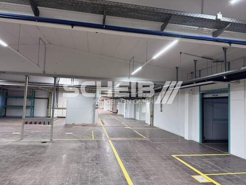 frei gespannte Fläche - 