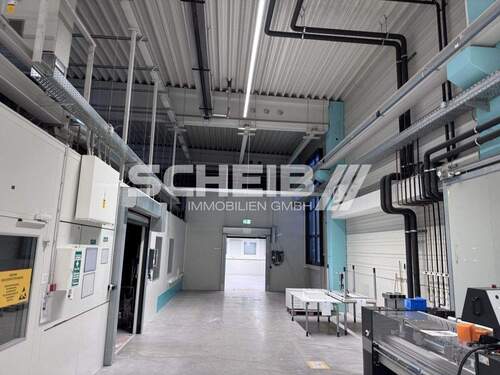 zu den weiteren Hallen - 