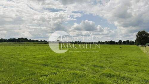 332.Ländereien (2) - 