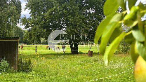 332.Hofstelle (4) - 7 Zimmer Mehrfamilienhaus, Wohnhaus in Adelheidsdorf