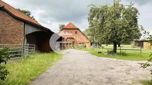 332.Haus.Außen (3) - Mehrfamilienhaus, Wohnhaus mit 173,00 m² in Adelheidsdorf zum Kaufen
