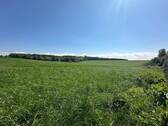 Weitblick - 