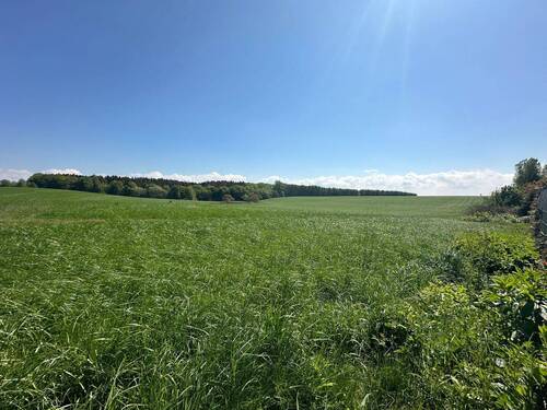Weitblick - 
