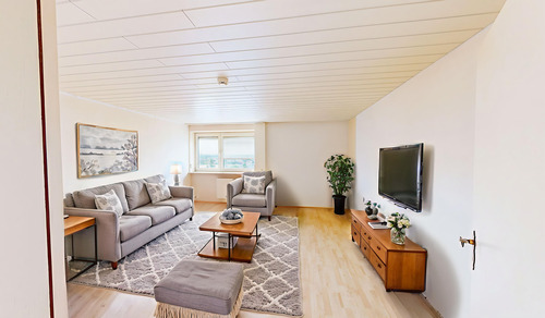 Einrichtungsbeispiel Wohnzimmer - 3 Zimmer Etagenwohnung zum Kaufen in Ingolstadt