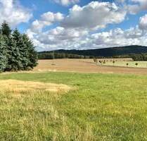 Verstecktes ruhiges Baugrundstück in Steina