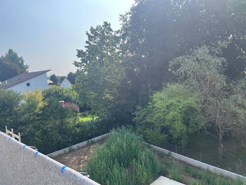 1000197168.jpg - 3 Zimmer Etagenwohnung in Seligenstadt