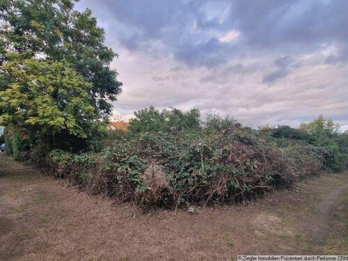 Grundstücke MA-Seckenheim - Bauplatz in sehr beliebter Wohnlage von MA-Seckenheim - 0-4004