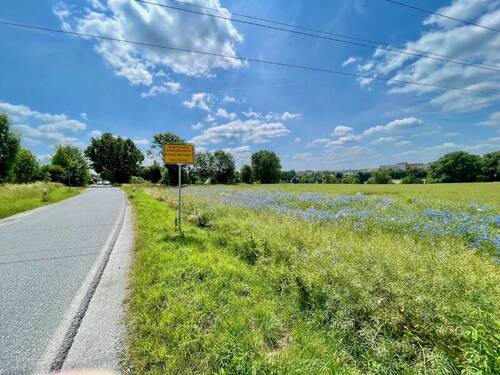 Freies Nachbarfeld - Grundstück in Bischofswerda