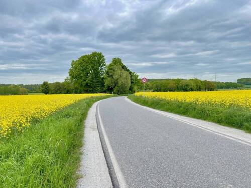 Fußweg zur S-Bahn Station & Bushaltestelle - 