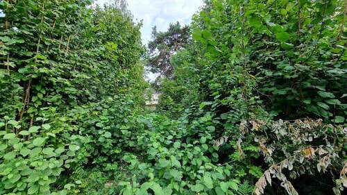 hintere Grünfläche - Grundstück zum Kaufen in Würselen