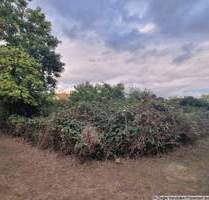 Bauplatz in TOP-Lage von MA-Seckenheim - 0-4004 - Mannheim