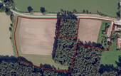 Rot umrandet sind die 3,5 ha - 