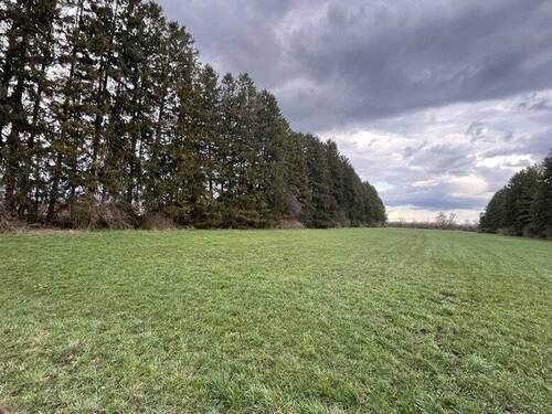 Ackerland - Grundstück in Unterschleißheim