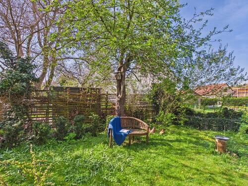 Garten hinter dem Haus - 