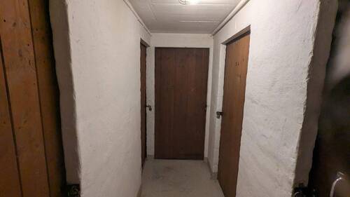 Zugang zum Keller - 