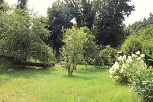 Zusätzlicher Bauplatz - 