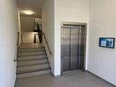 Treppenhaus mit Aufzug - 
