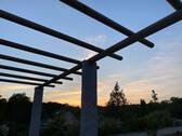 IMG_9213.JPEG - 